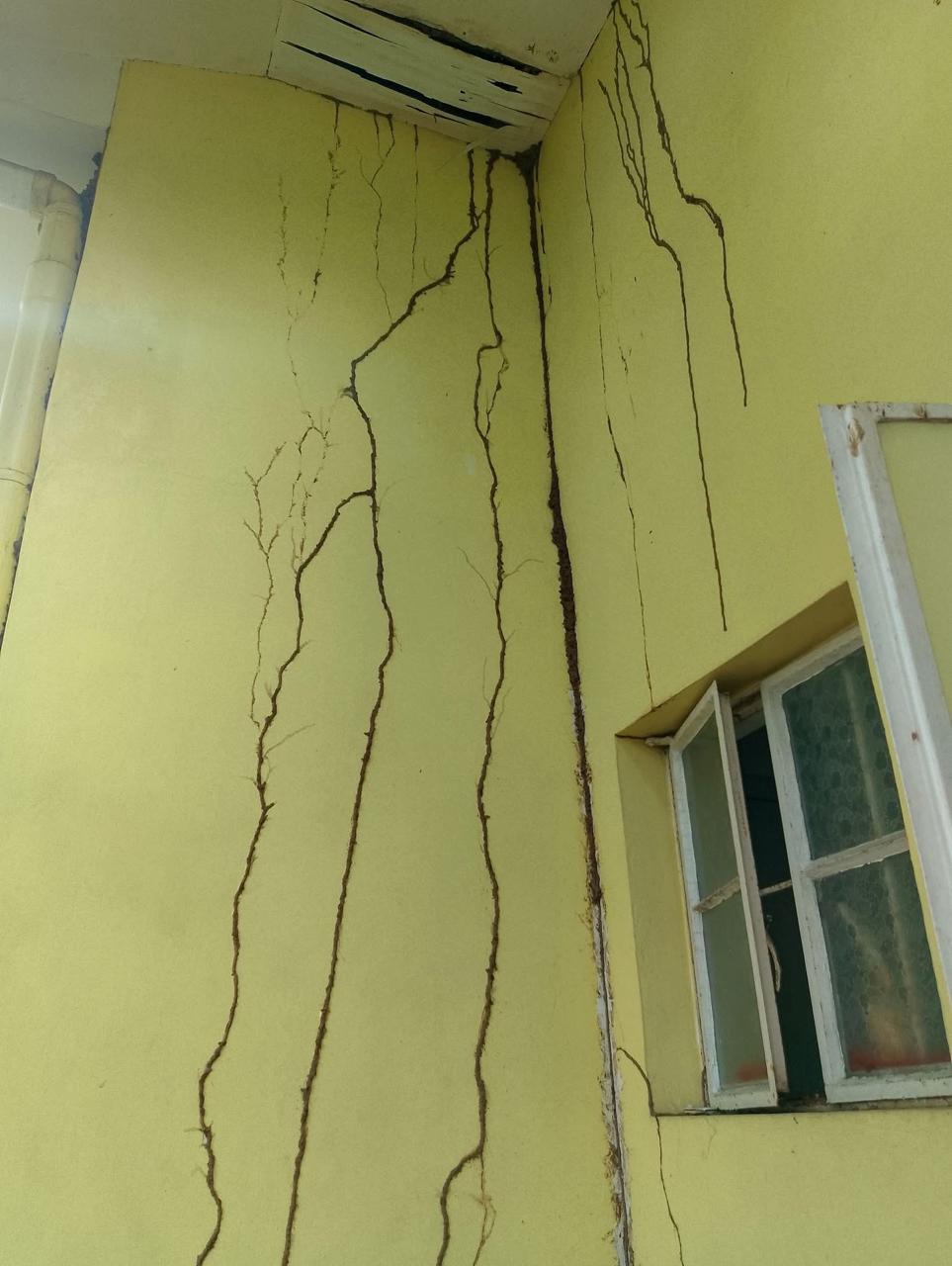 Termite treatment on wooden furniture